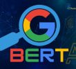 Google Bert AI: The Google Search Algorithm