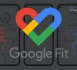Google Fit AI: Do exercises with this AI app