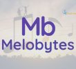Exploring Melobytes: Turning Words into Music in Seconds